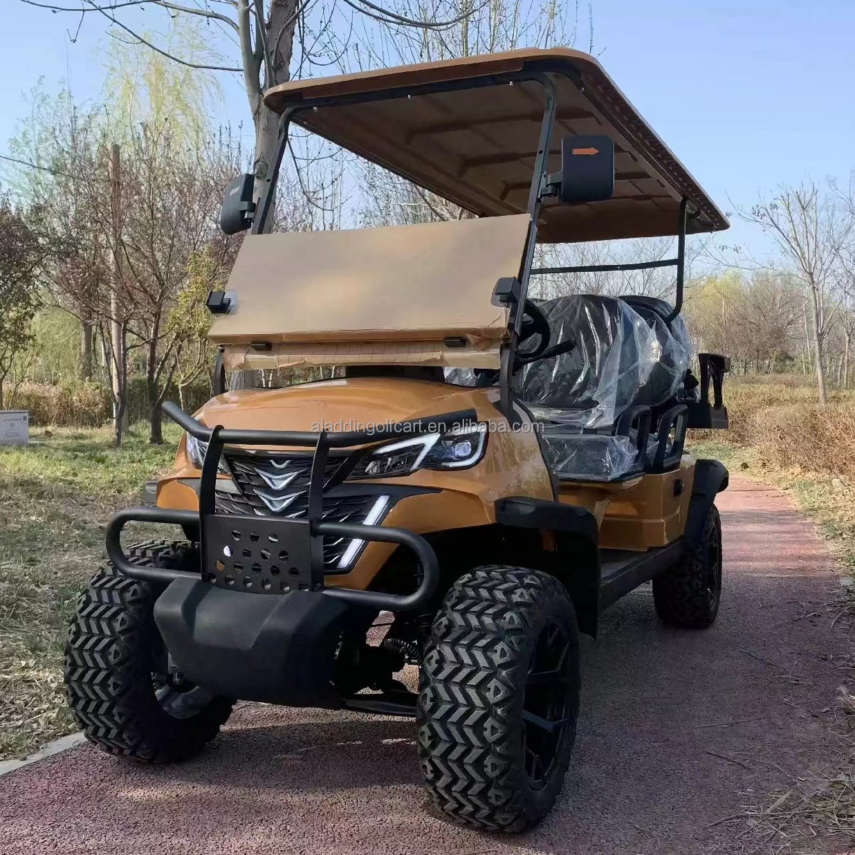 Off Road Street Legal 48V Lithium Battery Carts Golf Car Hunting Buggy 2 Seater Electric Golf Cart